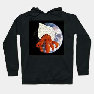 Fabulous planet of diversity : ermit crab Hoodie